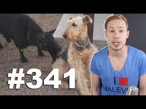 This is Хорошо - Головой в бидон. v:<