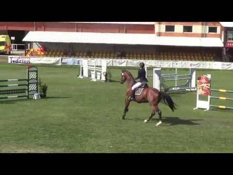 Ilona Turowska & LORDANZ - Young Horses Championships of Poland, 2nd Qualifying Round