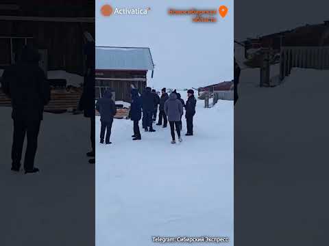 🟠Изъятие скота дошло до Карасукского района #новосибирскаяобласть #чернокурье #скот #фермеры