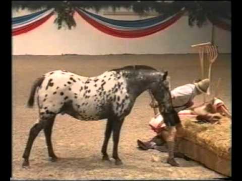 Joker und Toni in Neumünster 2002,Top..avi