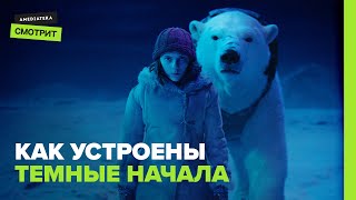 Как устроены «Тёмные начала»