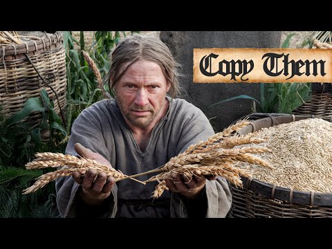 The Forgotten Grain That Fed Europe for Centuries (And Could Again)
