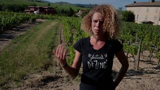 Camille Lapierre - Le Vin nature/The Nature Wine