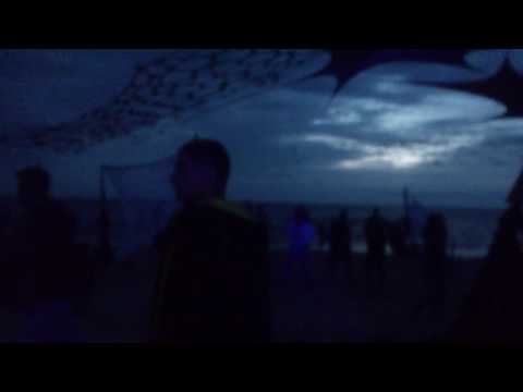 Bongo @ Dharma Festival 2016