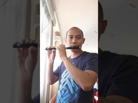 Yamaha Piccolo 62 ( YPC 62 )