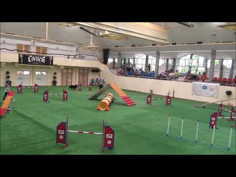 MEDIVID AGILITY KUPA 2020.08.15-16 - Legendary of Jet Black Mithos 1. hely összetett