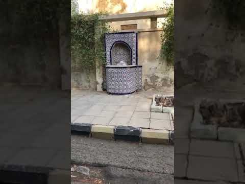 Preparing for Hajj 2021 / 1442H