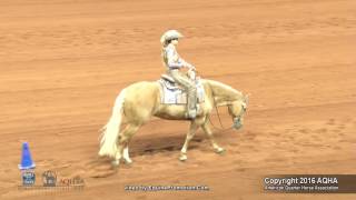 A Judges Perspective: 2016 AQHYA Western Riding World Champion