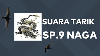 Download lagu SUARA  TARIK  ST. 9   NAGA   ORIGINAL /ASLI  (SUARA INI SATU PAKET SP, ST, SI) mp3