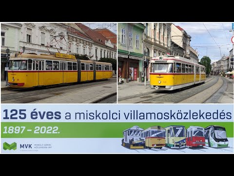 A bal térdízület deformáló artrózisa