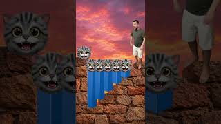 Help Me Pass the Bridge Cat