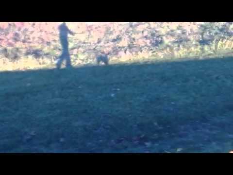 Ragan Discovers His Shadow