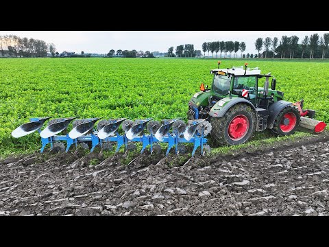 Fendt 942 vario + 7 furrow Lemken Juwel 10 On-land plough | Ploughing cover crop | Van Peperstraten