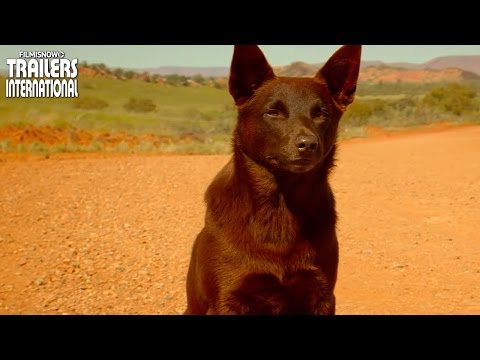 RED DOG: True Blue ft. Levi Miller, Bryan Brown | Teaser Trailer [HD]