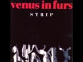 Venus in Furs - Concerning Status 