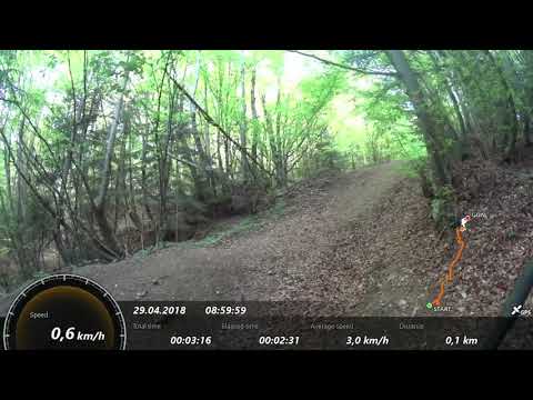 PIATRA NEAMT-CUIEJDEL-MAGAZIA