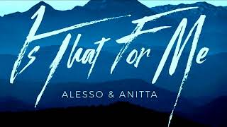 Alesso & Anitta - Is That For Me (Verssaly Brazil reMix)..