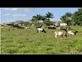 Curso Administração da Pequena Empresa Rural