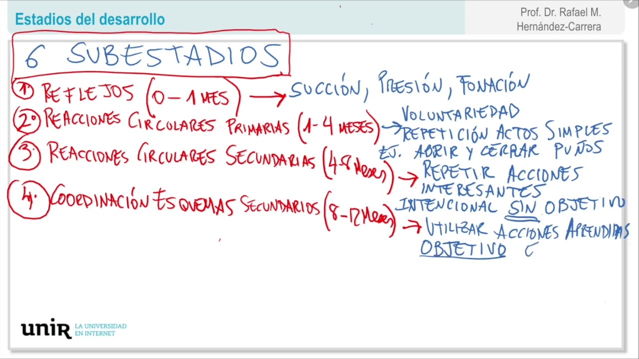 Piaget Estadios del desarrollo