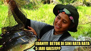 Download lagu Viral || Terbaru Cewek cantik mancing ikan betok| mancing ikan | wanita cantik mancing ikan.. mp3