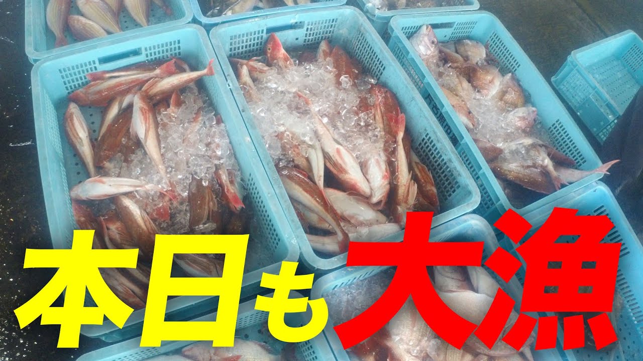 大漁続きの日々に感謝...本日の魚種はいかに！？