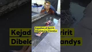 Download lagu Terkecoh Sama Bapak di Bali 🗿😱 #shorts mp3