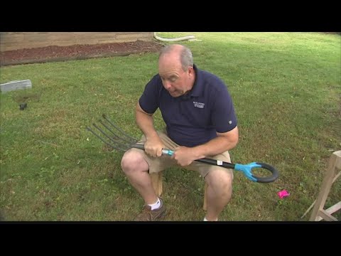 Best of Pat Sullivan: What works to get rid of moles in your yard