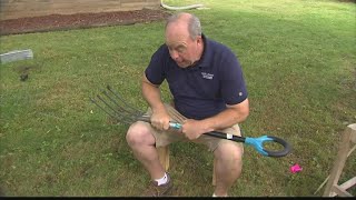 Best of Pat Sullivan: What works to get rid of moles in your yard