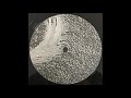 Phuture 303 - Alpha & Omega (Original) (1998)