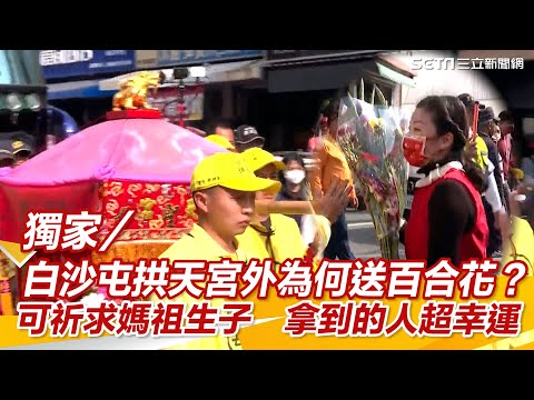 白沙屯拱天宮外為何送百合花？可祈求媽祖這件事　拿到的人超幸運