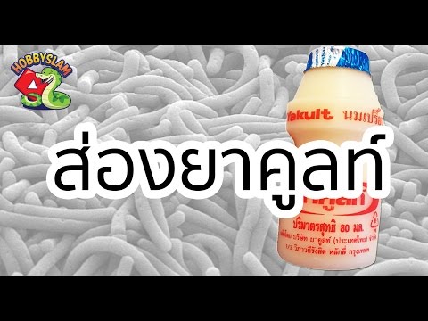 ปัญหาความผิดปกติของความแข็งแรง Exciter สำหรับการดำเนินการอย่างรวดเร็วของผู้หญิงในร้านขายยาที่จะซื้อใน Novosibirsk