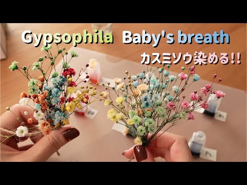 image-How do you treat baby's breath flowers?