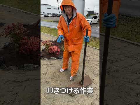 砂を追加する前の芝生の傷跡 2023