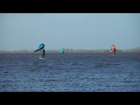 Schildmeer — 2