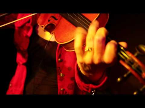 Firedaze - Fighting For Strangers