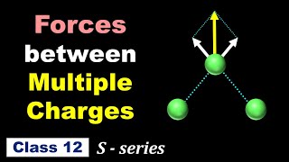 Forces between Multiple Charges  || in Hindi for Class 12