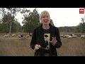 Boerenprotest, Japanse Duizendknoop en Hollands Panorama | Drenthe Nu 25 september