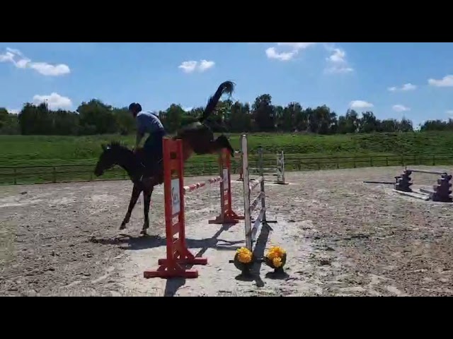 Belle Jument potentiel 135