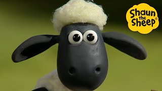 Summer on the Farm🐑 Shaun the Sheep 🐑 - Cartoons for Kids 🐑 Full Episodes Compilation [1 hour]