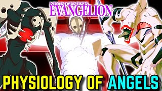 Download lagu Physiology of Angels in Neon Genesis Evangelion Explored - Where They Came From, How They Were Born? mp3
