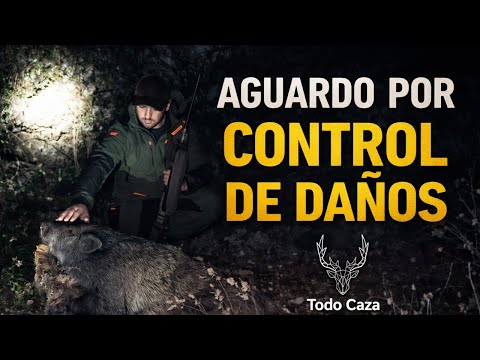 AGUARDO POR DAÑOS Y NUEVO EQUIPO WINCHESTER - ESPERAS A JABALÍ VII- TODOCAZA