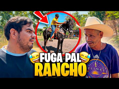 FUIMOS A VER UN CABALLO Y ESTO PASÓ| PATRÓN NETO