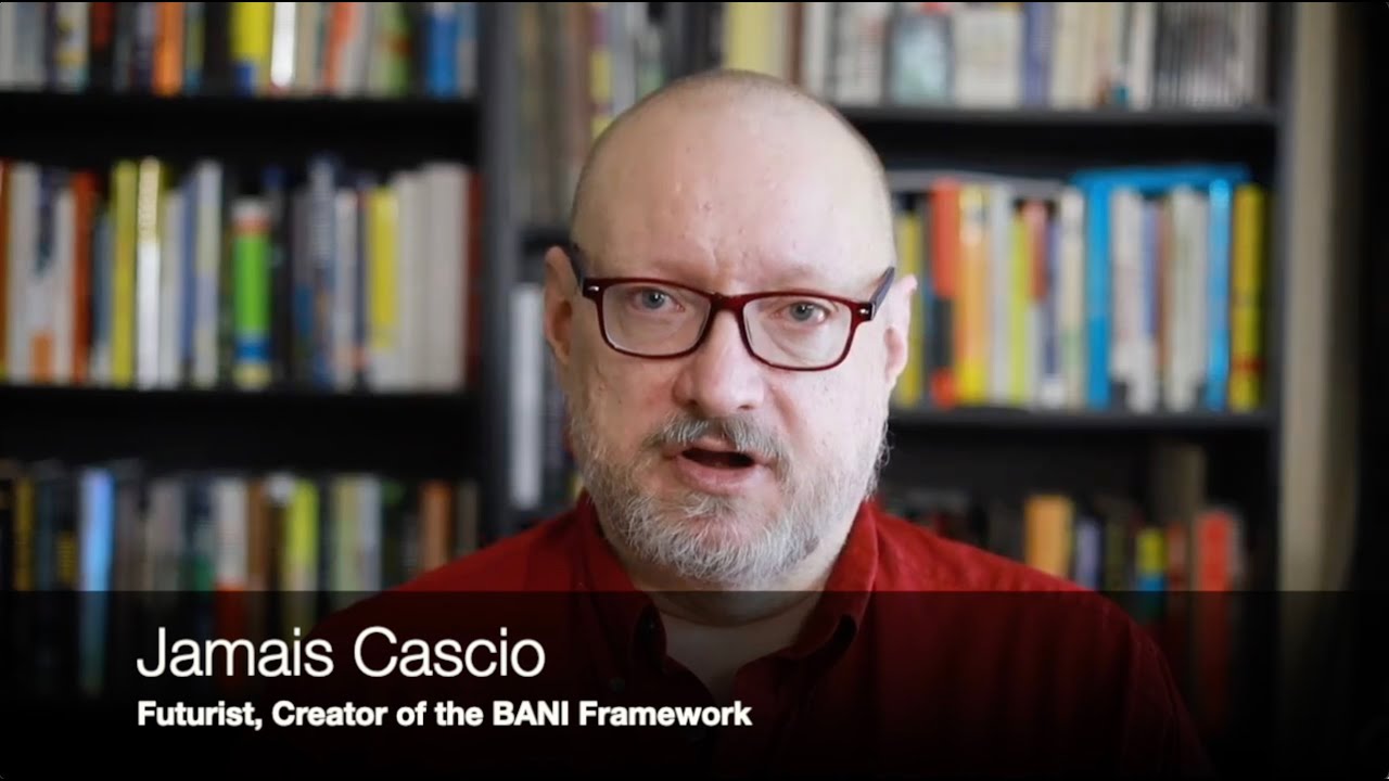 The BANI World, for IRSM 2022