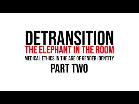 Detransitie: de olifant in de kamer — deel 2