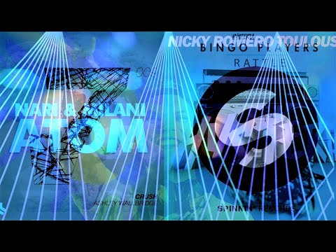 Loaded vs. Crush vs. Atom vs. Rattle vs. Toulouse (Avicii Electric Zoo, NY 2013 Mashup)