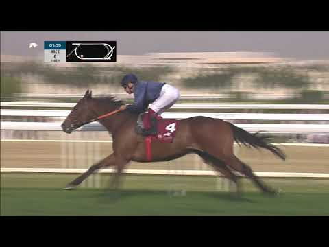 WOODKID-RM30-R6-20.02.2020 THOROUGHBRED HANDICAP (Class 3)
