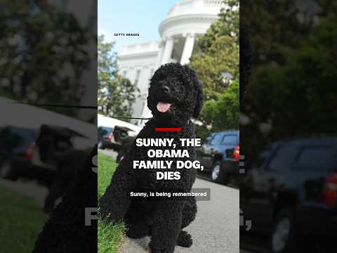 Sunny, the Obama family dog, dies