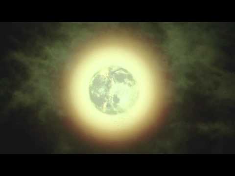 ▲ Almendra Music _ blossoms _ 11