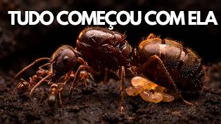A RAINHA DAS FORMIGAS | A Vida da Fundadora de Toda a Colônia - Documentário