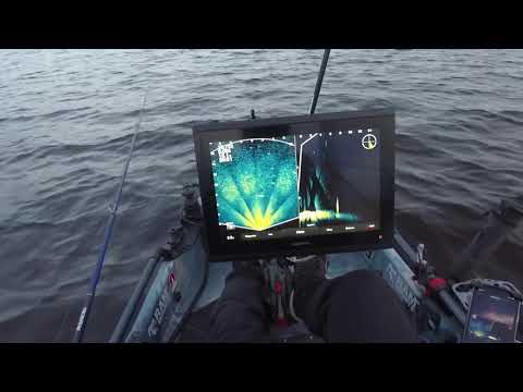 large pikeperch 10 kg caught using garmin Livescope 2021-05-10